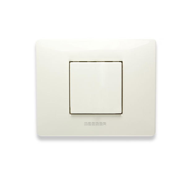 Plaque MIX 2 modules