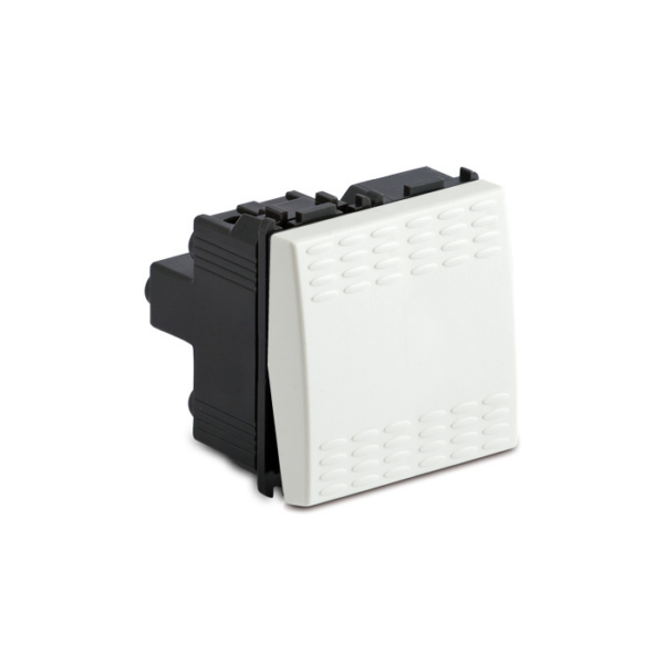 Interrupteur S/A 2 module