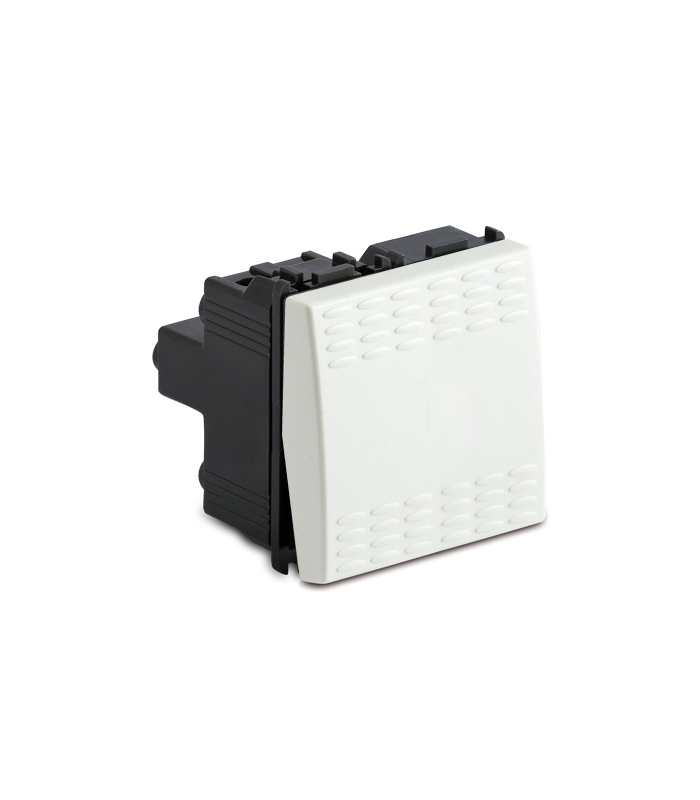 Interrupteur S/A 2 module