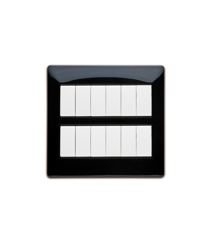 Plaque 12 modules