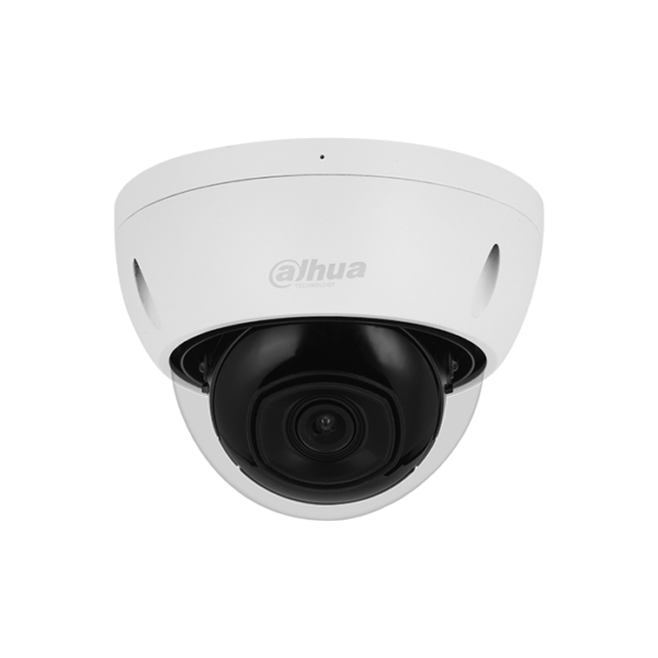 Caméra réseau dôme WizSense 4 MP IR30