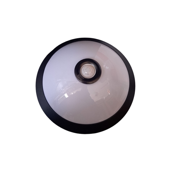 PLAFONIER AVEC DETECTEUR